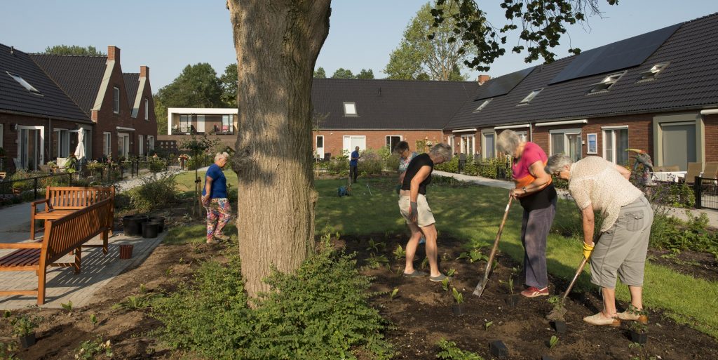 Knarrenhof met woningen voor senioren ontwerp Inbo