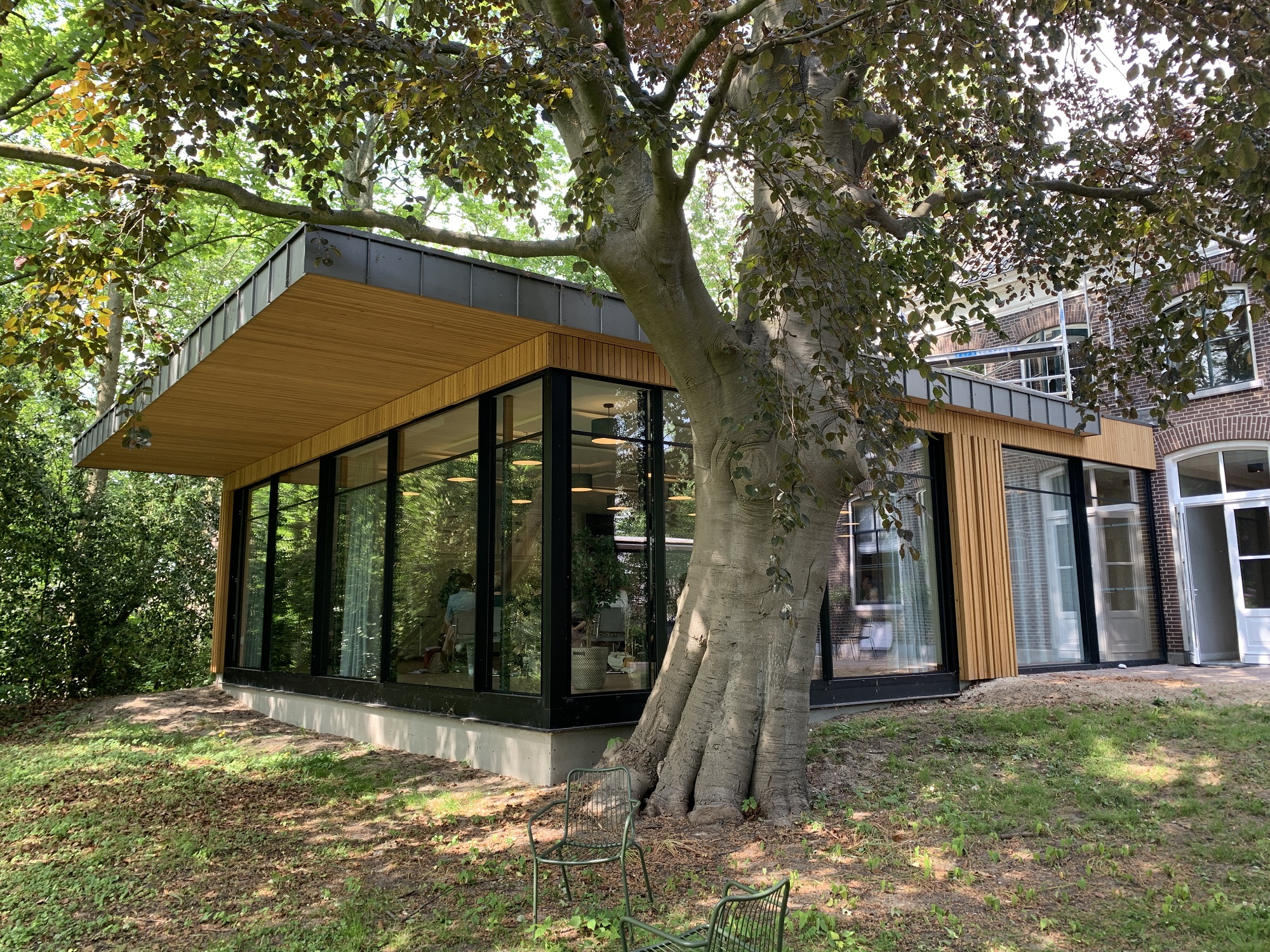 uitbreiding t oude huis met beukenboom