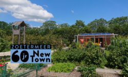 Zoetermeer groeit – (online) lezing #04: van stadspark tot lokaal voedsel en bijenlint