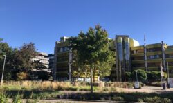 Stadslezing 2024 #5 Sloop als laatste optie hergebruik als standaard
